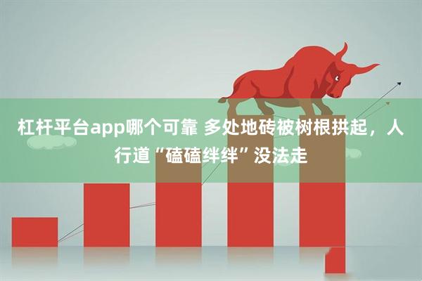 杠杆平台app哪个可靠 多处地砖被树根拱起，人行道“磕磕绊绊”没法走