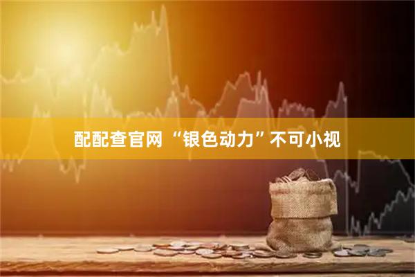 配配查官网 “银色动力”不可小视