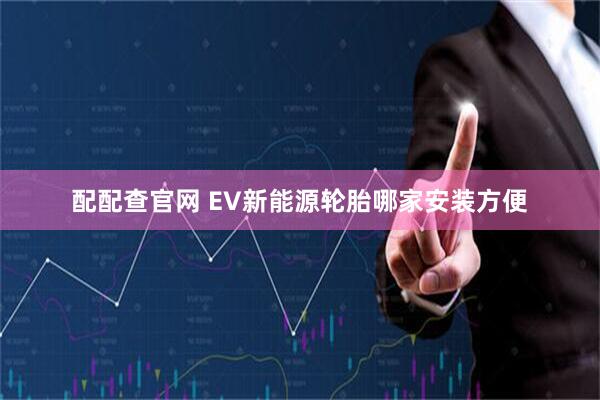 配配查官网 EV新能源轮胎哪家安装方便